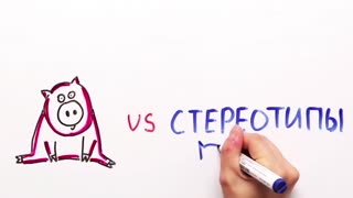 НаучПок Правда ли свиньи умные — Научпок.mp4