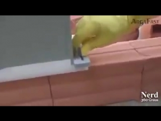 Инновации в строительстве. Впечатляет!