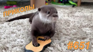 Приколы январь 2020 №651